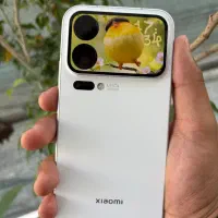 Xiaomi 17 pro max 512