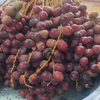 خارک جوزی