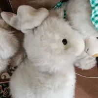 عروسک  های پشمی