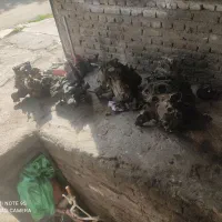 گیربوکس پراید