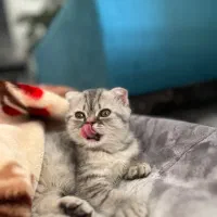 پانسیون خانگی لوسی منطقه ۱