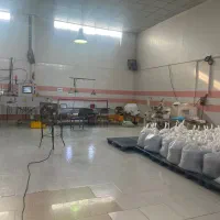 کارگر خانم و آقا کارگاه کشمش