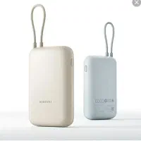 پاوربانک پیدا شده