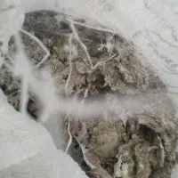 کود کفتر