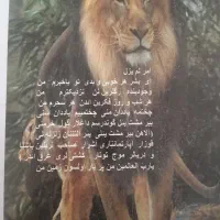 کتابهای خانم نوبخت اندریان