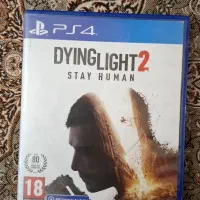 Dying light2