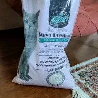 خاک گربه عطری کربن