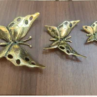 پروانه برنج سنگین