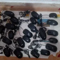 موس نو نو به قیمت اصل اصل