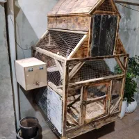 قفس پرنده|لوازم جانبی حیوانات|قشم, |دیوار