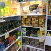 استخدام نیرو