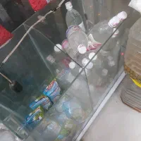 قفسه شیشه ای