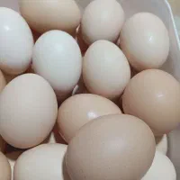 تخم مرغ..