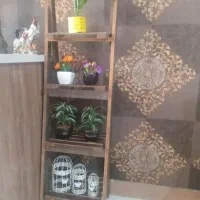 استند|گل و گیاه طبیعی|فردیس, شهرک شهید حسینی|دیوار
