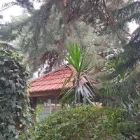 آموزش رانندگی در شهر،ترافیک،جاده