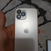 12poromacx|موبایل|اصفهان, باغ زرشک|دیوار