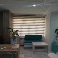 انواع پرده زبرا، شید، دومکانیزم