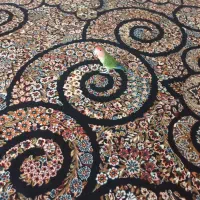 طوطی کتوله برزیلی