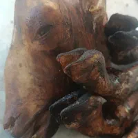 کله پاچه