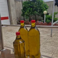 روغن زیتون اصل رودبار بسیار خوشمزه