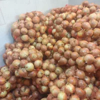 نیازمند نیروی خانم/آقا جهت کار در کارگاه موادغذایی