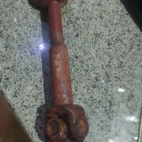 میل گاردون
