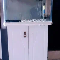 آکواریوم شرکتی شیشه خم