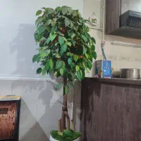 درختچه مصنوعی