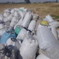 کاه جو گونی شده