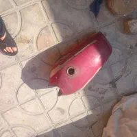 باک موتور