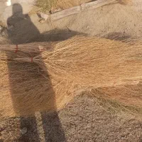 جارو|لوازم نظافت|شیروان (لرستان), |دیوار