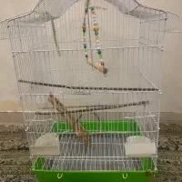 قفس پرنده