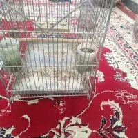 سهره