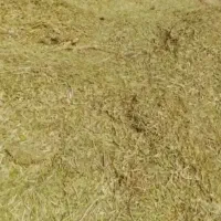 کاه عدس.وپر گندم موجوده