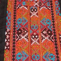 زیاستین فنوچی