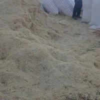فروش کاه ریز آماده در گونی