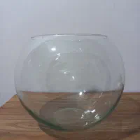 تنگ شیشه ای ماهی