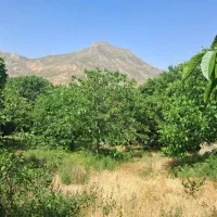 فروش باغ وهنان