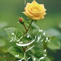فروش خط رند کد 6