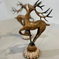 جشنواره فروش با قیمت استثنایی