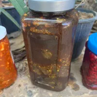 ترشیجات و لواشک