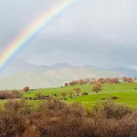 زمین صدمتری