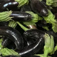 بادمجون محلی