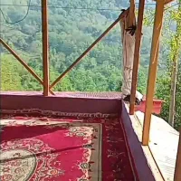 فرش۱۲ متری و۶ متری