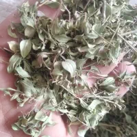 برگ زردالو . آویشن کوهی