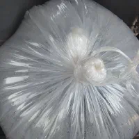 بچه ماهی کپور