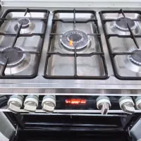 گاز فردار بیشل 5 شعله