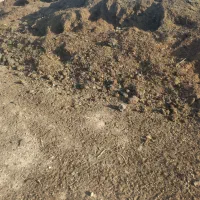 فروش کود حیوانی کهنه