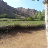 فروش زمین زراعی