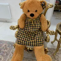 خرس خارجی